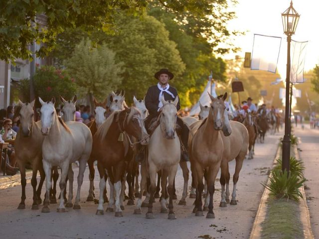 FIESTA NACIONAL DEL POTRILLO